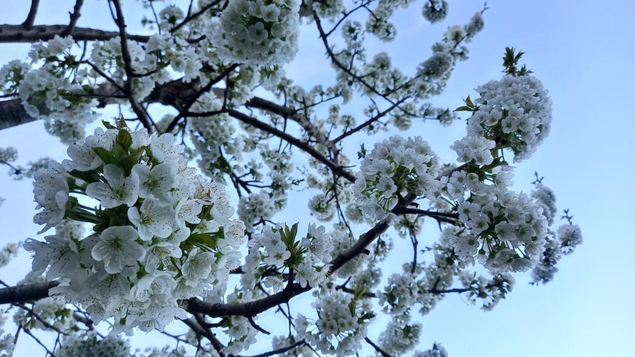 Baleni Daire Sisian Dış mekan fotoğraf