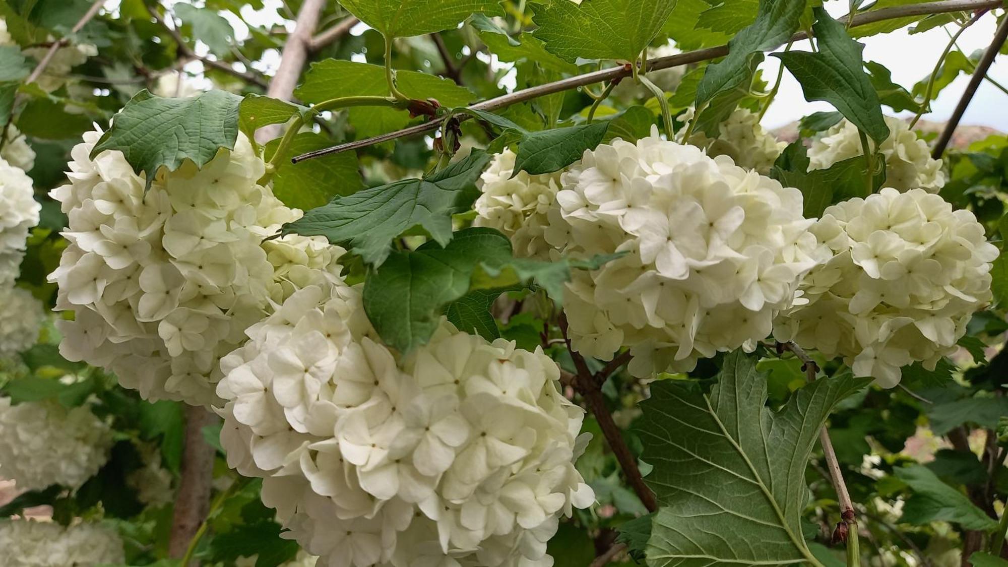 Baleni Daire Sisian Dış mekan fotoğraf